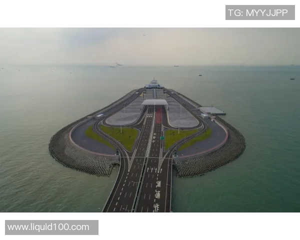 武汉排球队在钻石联赛中的逆袭之路与辉煌成就揭秘 武汉排球队在钻石联赛中的逆袭之路与辉煌成就揭秘